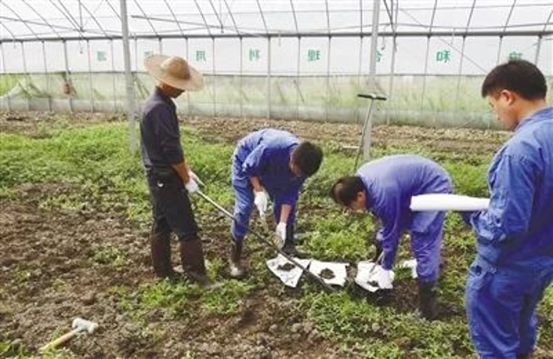 绿色革命：水处理技术的新突破